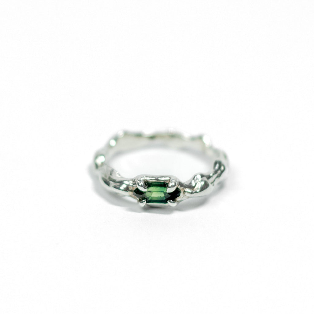 Chinup ring