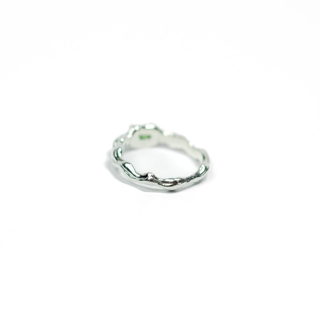 Chinup ring