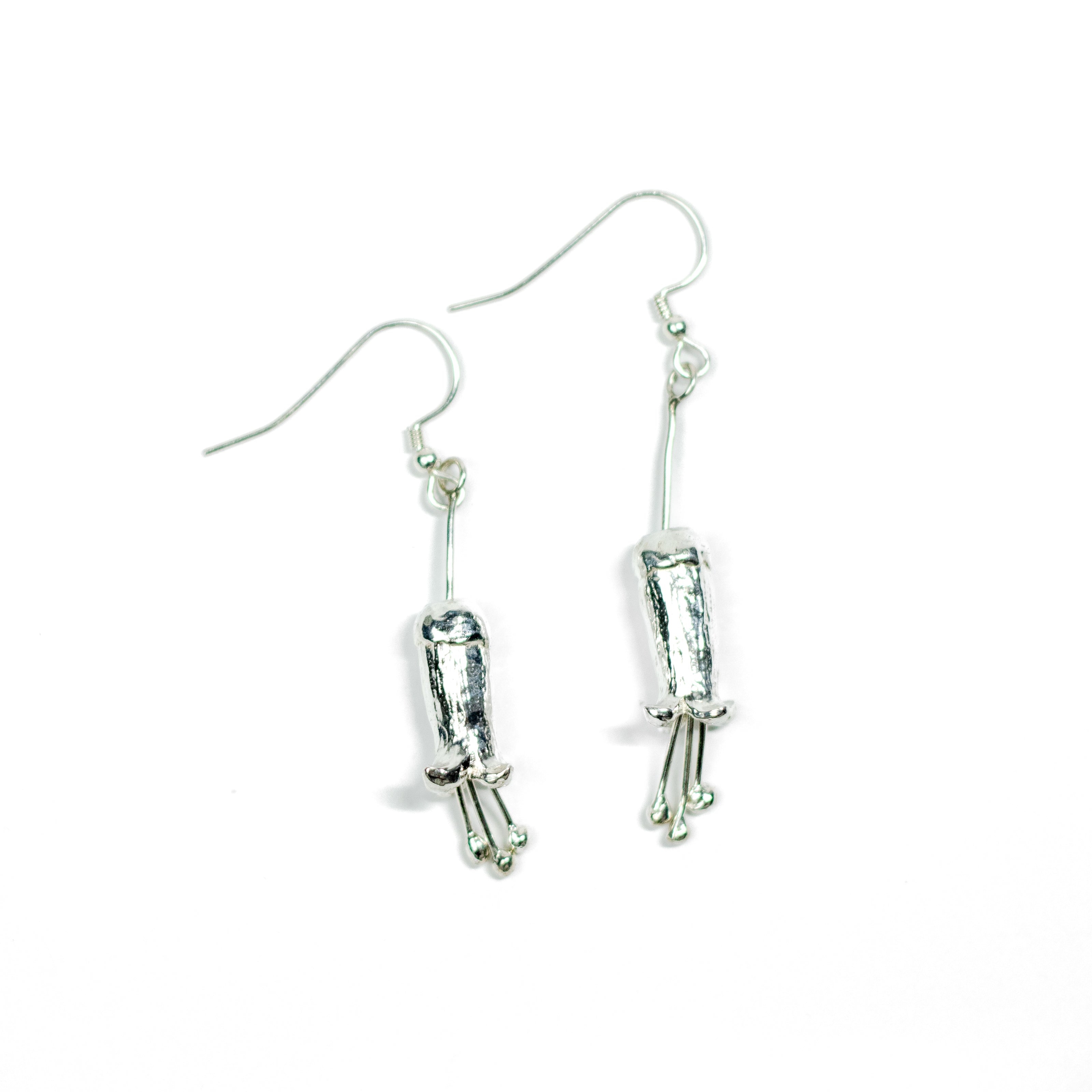 Correa earrings